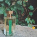 阿蒂仙之香 香杉雨藤 l"artisan parfumeur fleur de liane|香水评论