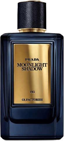 moonlight shadow トップ 香水