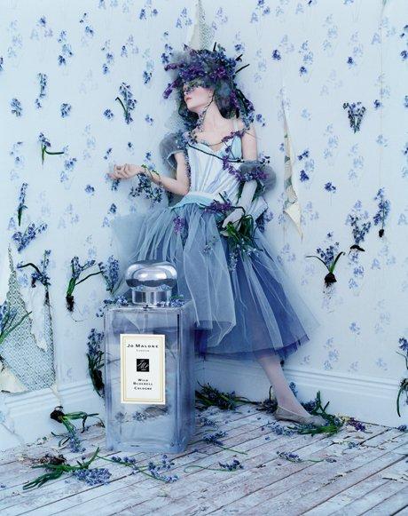 祖马龙 蓝色风铃草 jo malone wild bluebell, 2011 的香水细节图