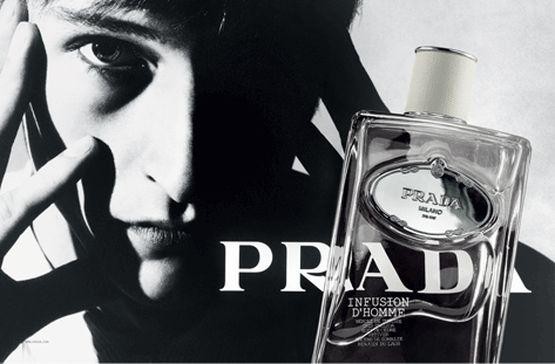 普拉达 鸢尾花男士 Prada Infusion d'Homme|香水评论|香调|价格|味道|香评|评价|-香水时代NoseTime.com